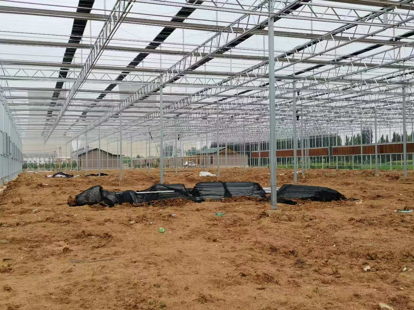 玻璃連棟溫室