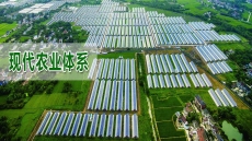 大櫻桃現(xiàn)代農(nóng)業(yè)溫室項(xiàng)目